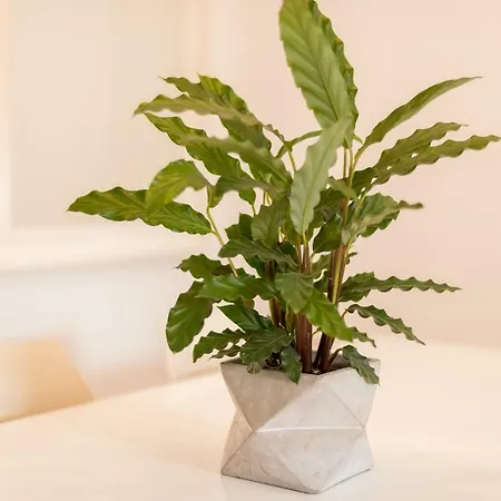 Alfama Modern Two-bedroom W/ River View And Parking - By Lu Holidays דירה *