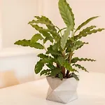 Alfama Modern Two-bedroom W/ River View And Parking - By Lu Holidays Daire *